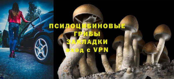 ALPHA PVP Кинешма