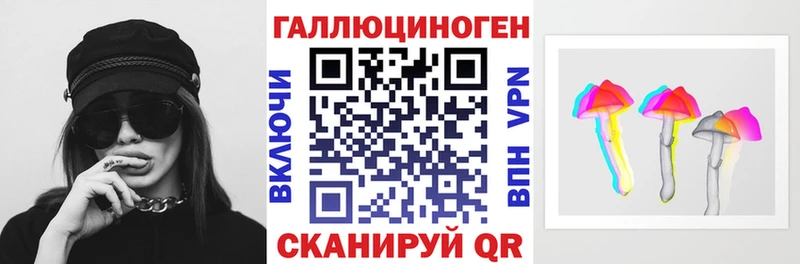Купить  Донской  Псилоцибиновые грибы Psilocybine cubensis 